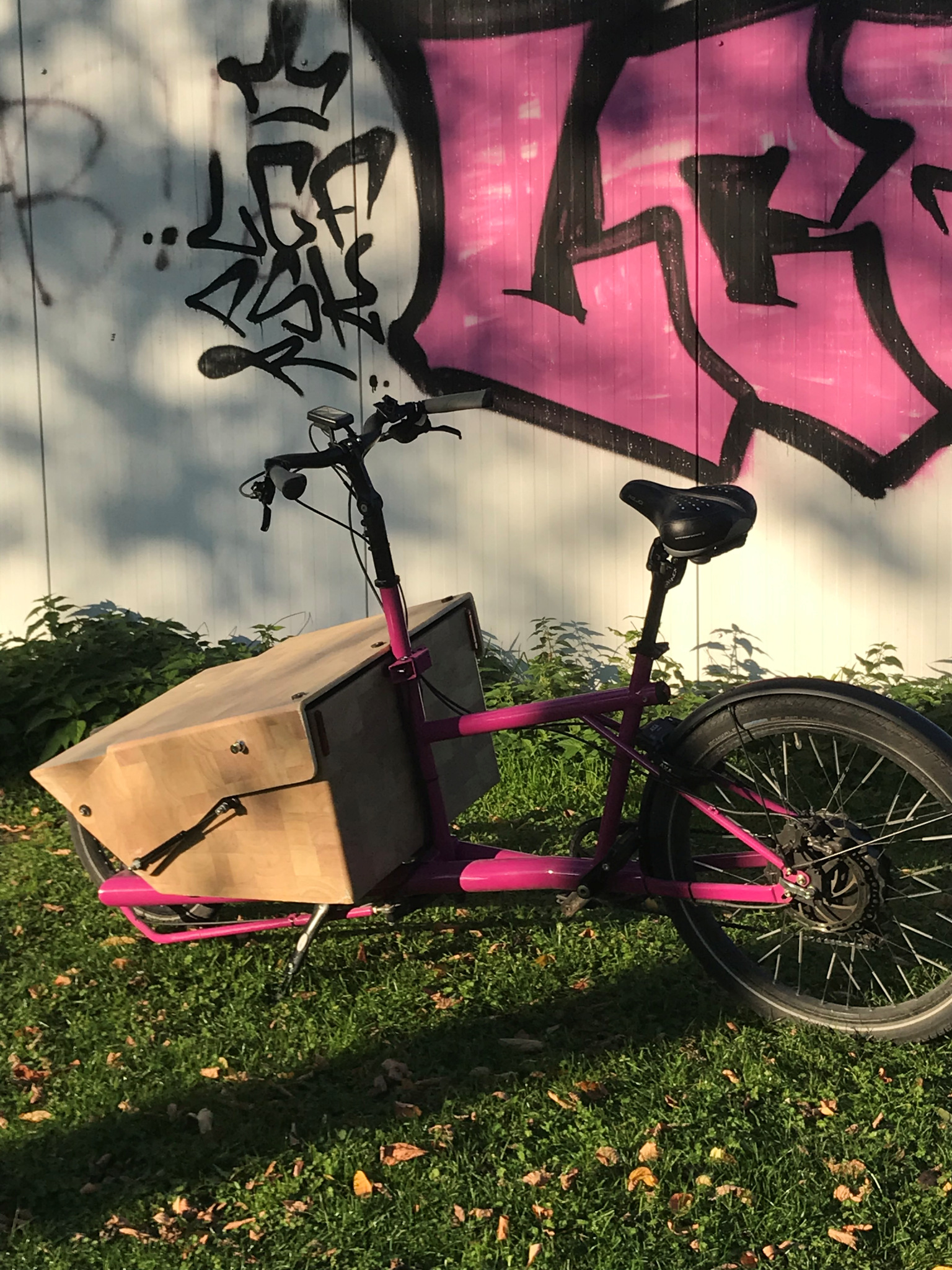 pink_04_Tag.jpg
